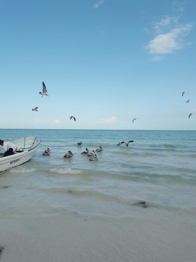 Hostel La Isla Holbox Екстер'єр фото